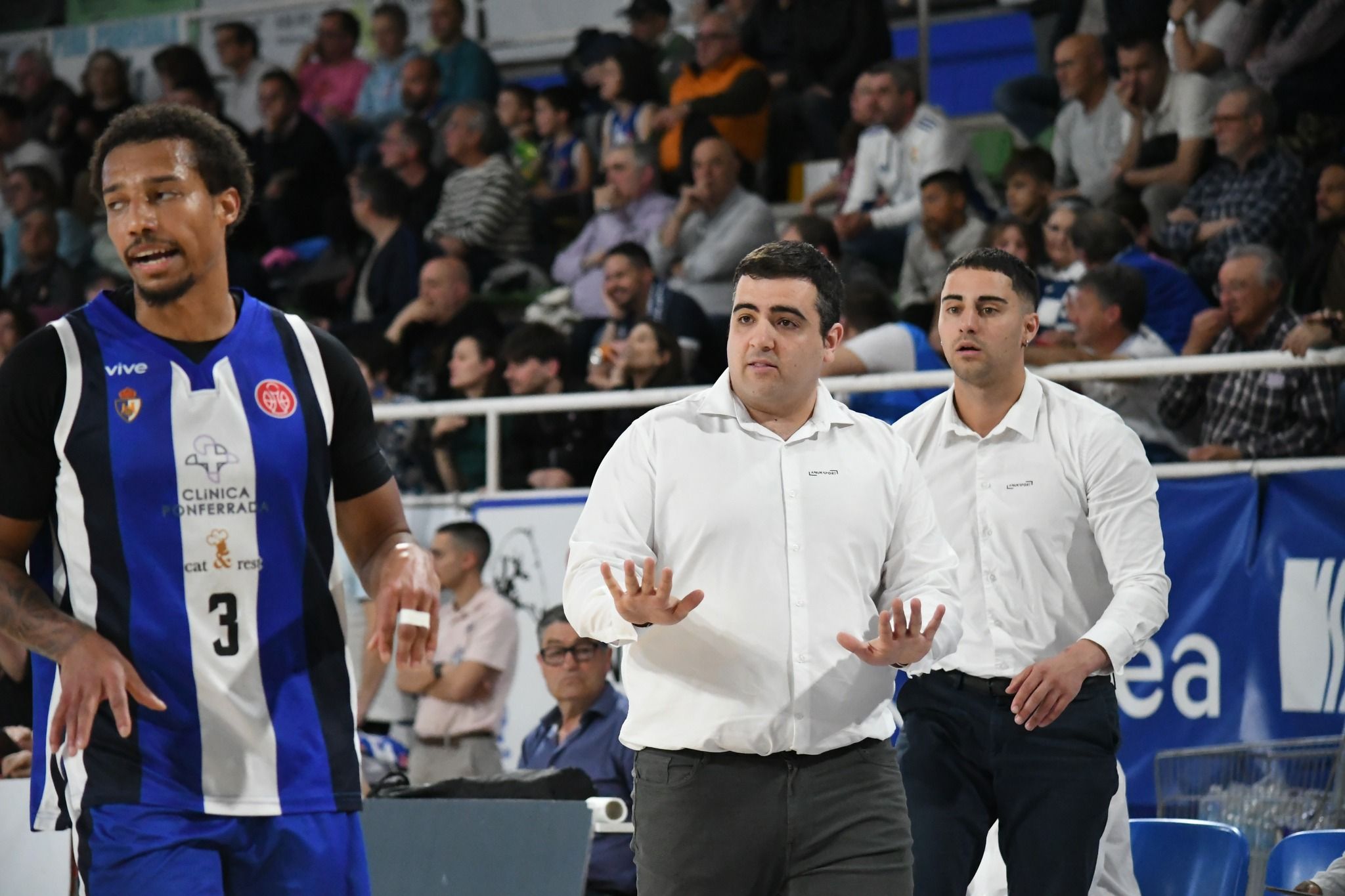Oriol Pozo durante uno de los momentos ante Jaén en el Lydia. REDBLANQUIAZUL