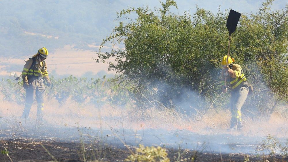 Ardieron casi tres hectáreas y se le piden 9.500 euros. | C.S. (ICAL)