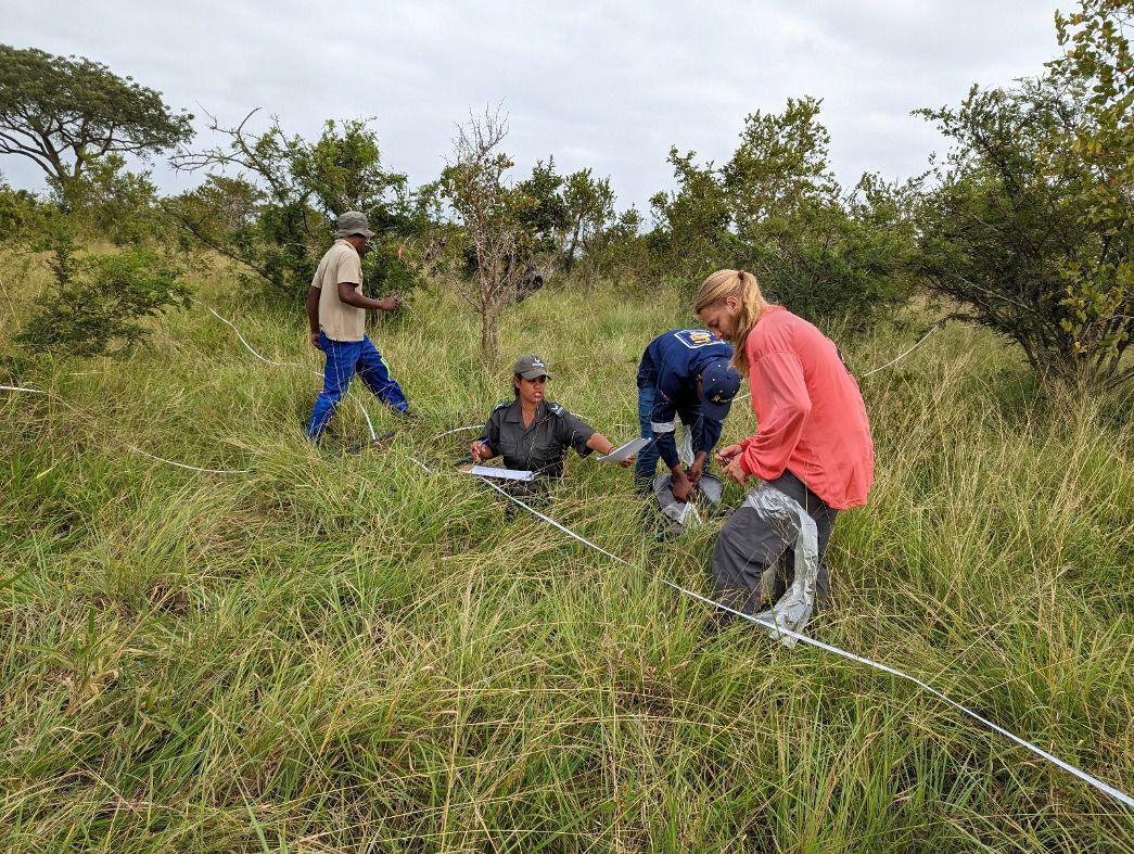 Trabajo de investigación en las sabanas del sur de África.
