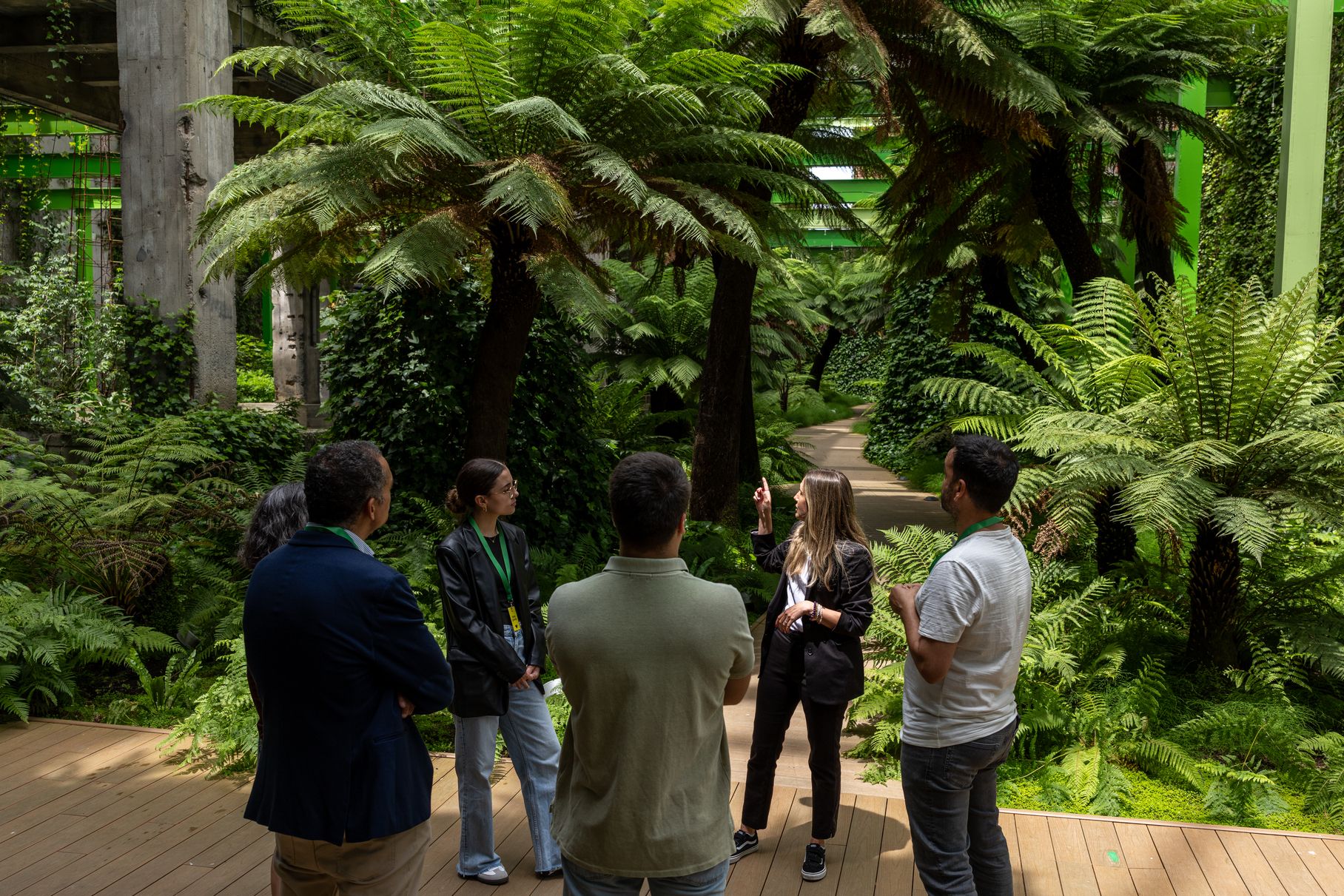 Visita guiada ‘Entre helechos’, enfocada en el origen de los yacimientos de carbón del Bierzo.