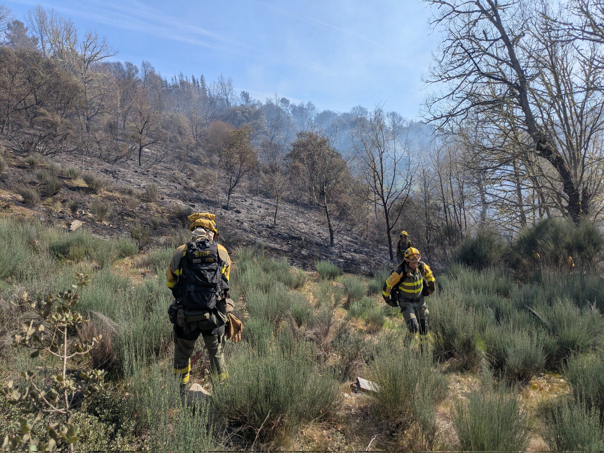 Medios terrestres intentando sofocar el incendio. | BRIF TABUYO