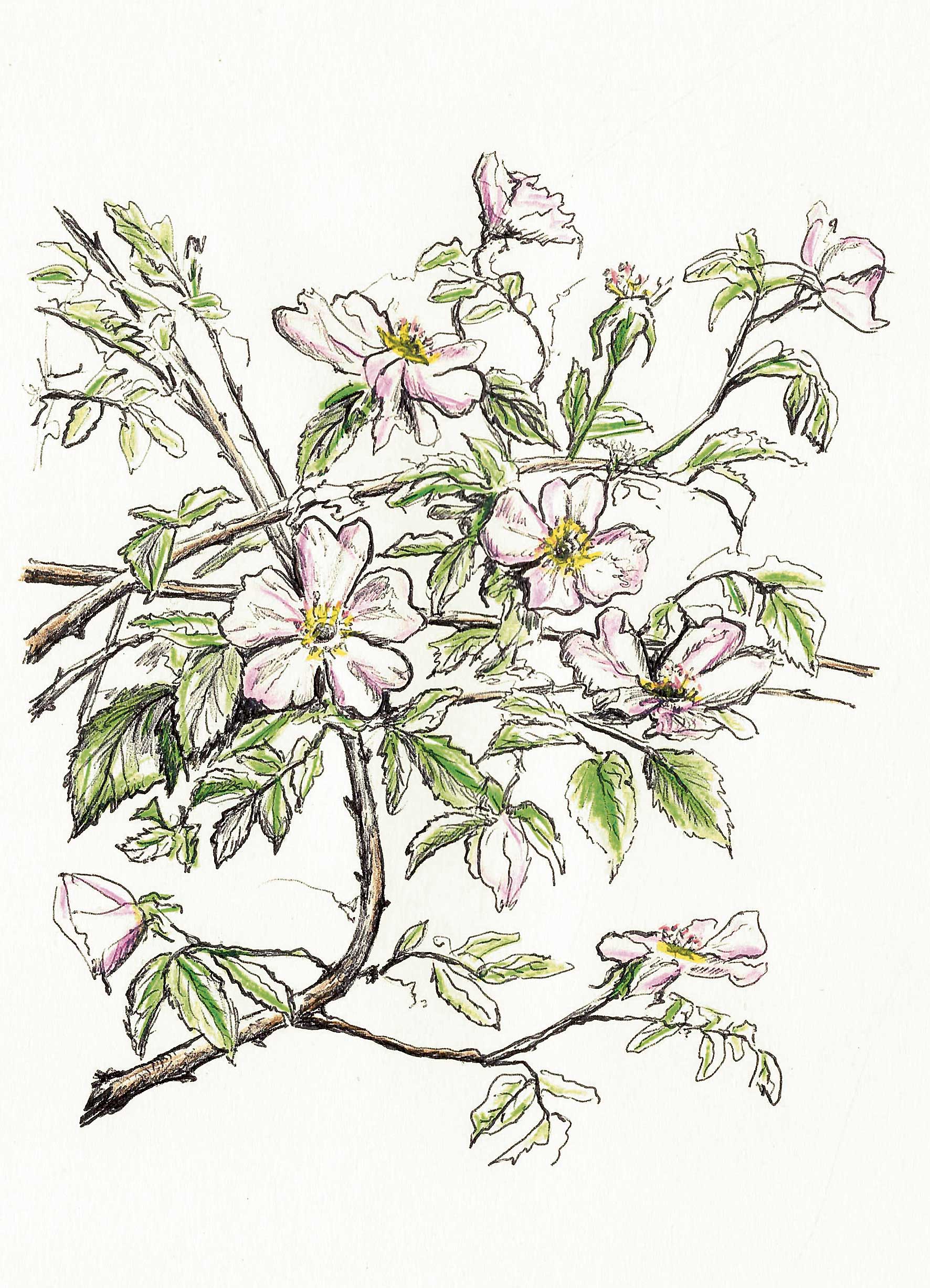 CUANDO VIVIR DUELE DEMASIADO. | JOSÉ ANTONIO SANTOCILDES CUANDO VIVIR DUELE DEMASIADO. | JOSÉ ANTONIO SANTOCILDES