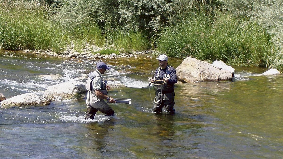 Dos pescadores durante el desarrollo de la competición. | L.N.C.
