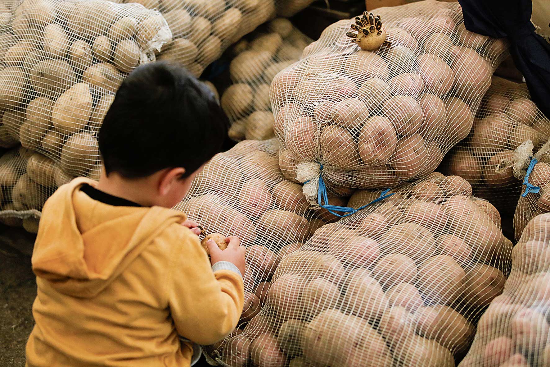 Alimentar sueños con lo cercano. | F.OTERO