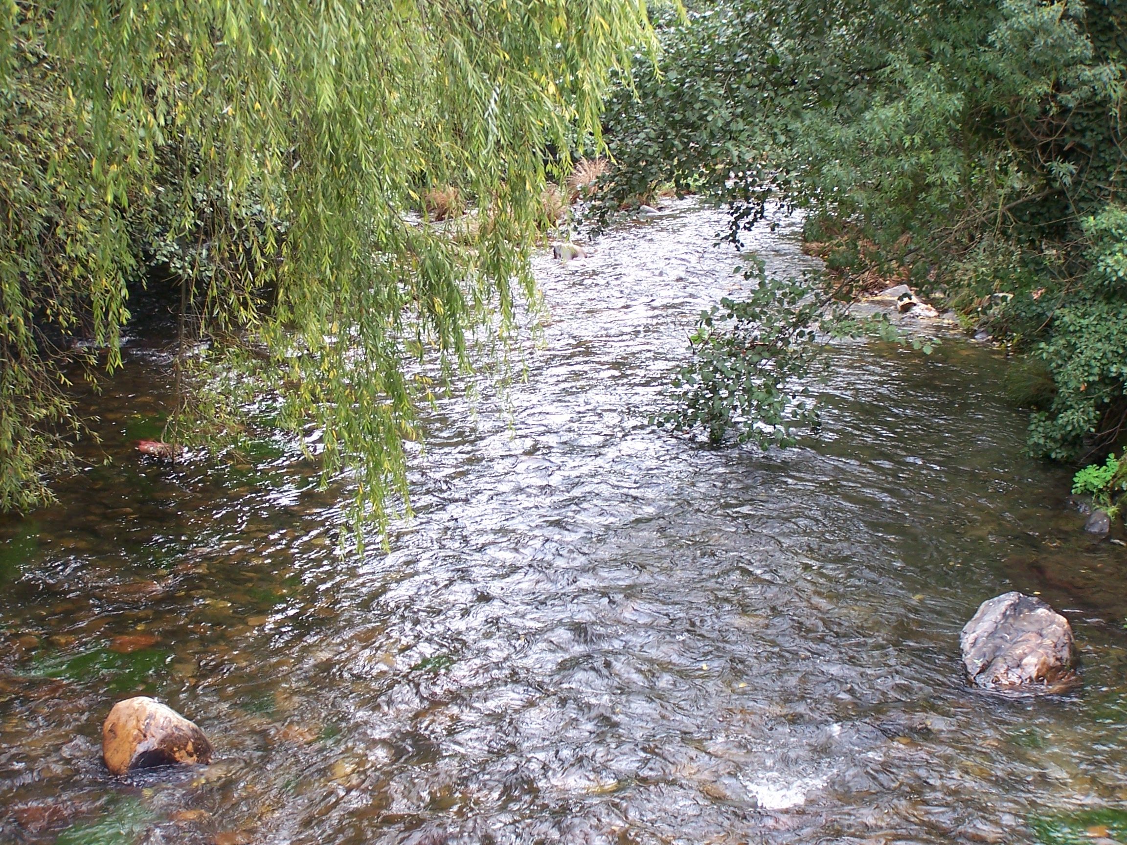 El río Selmo es uno de los menos contaminados y permite pescar entre castaños, toda una experiencia. 