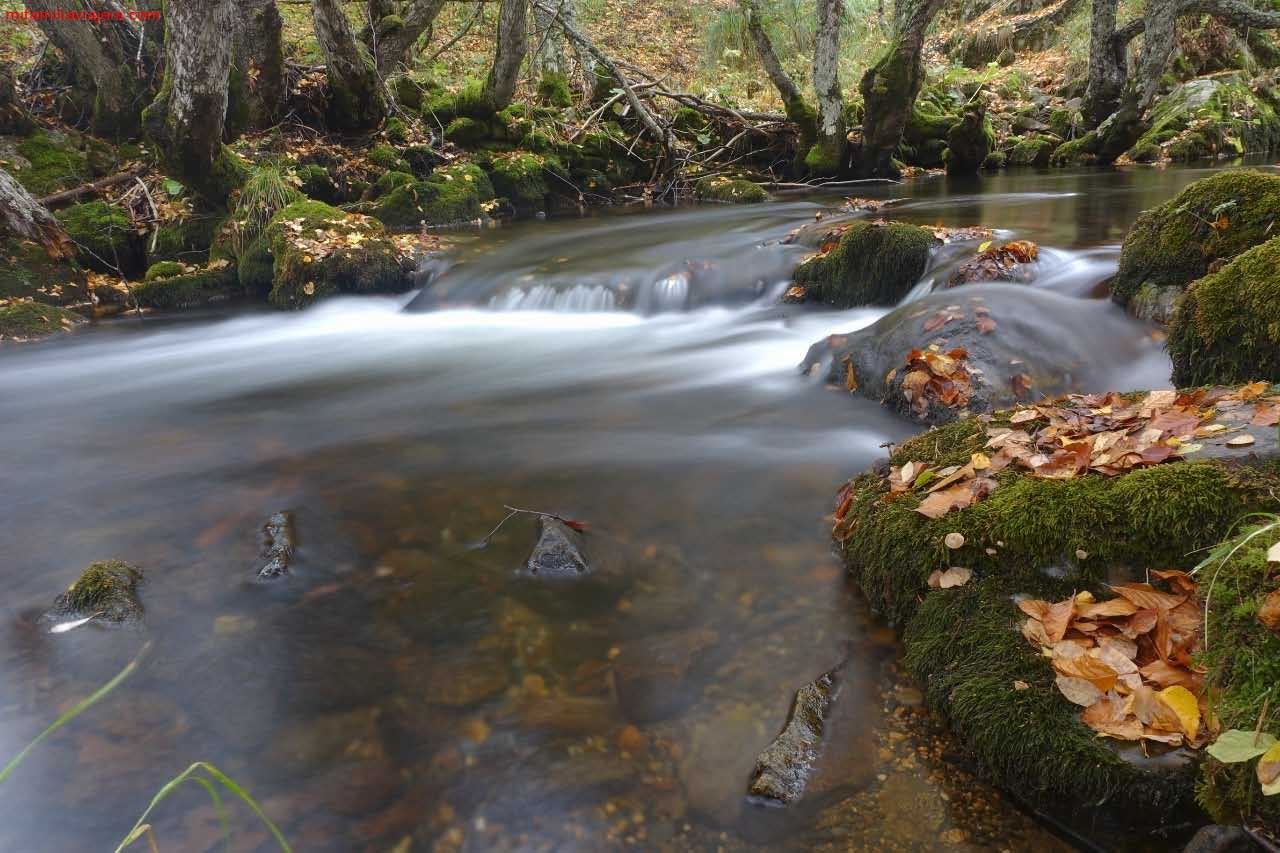 El río Porma es el eje fluvial que vertebra este territorio de marcada vocación truchera.