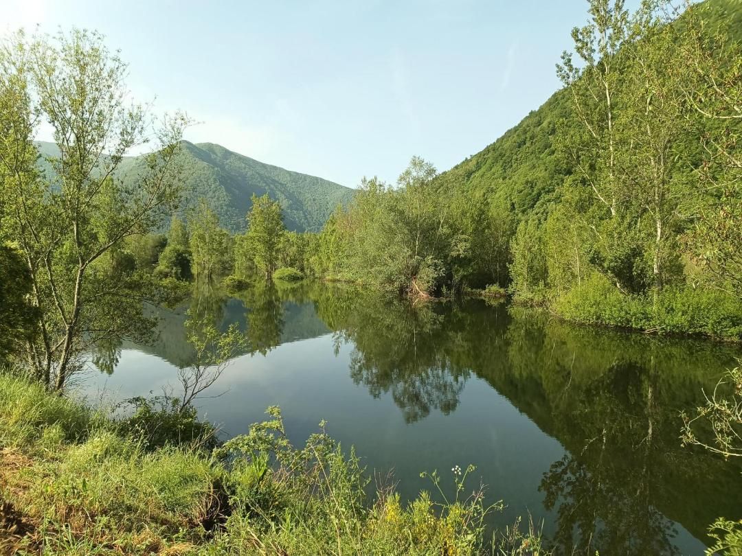 El embalse de La Rozas en una fotografía de archivo. | FUNDACIÓN PATRIMONIO NATURAL