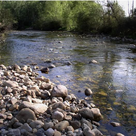 Entre plumas únicas y aguas claras, el valle del Curueño sigue siendo referencia nacional para pescadores.|  AYTO. SANTA COLOMBA DE CURUEÑO (1)
