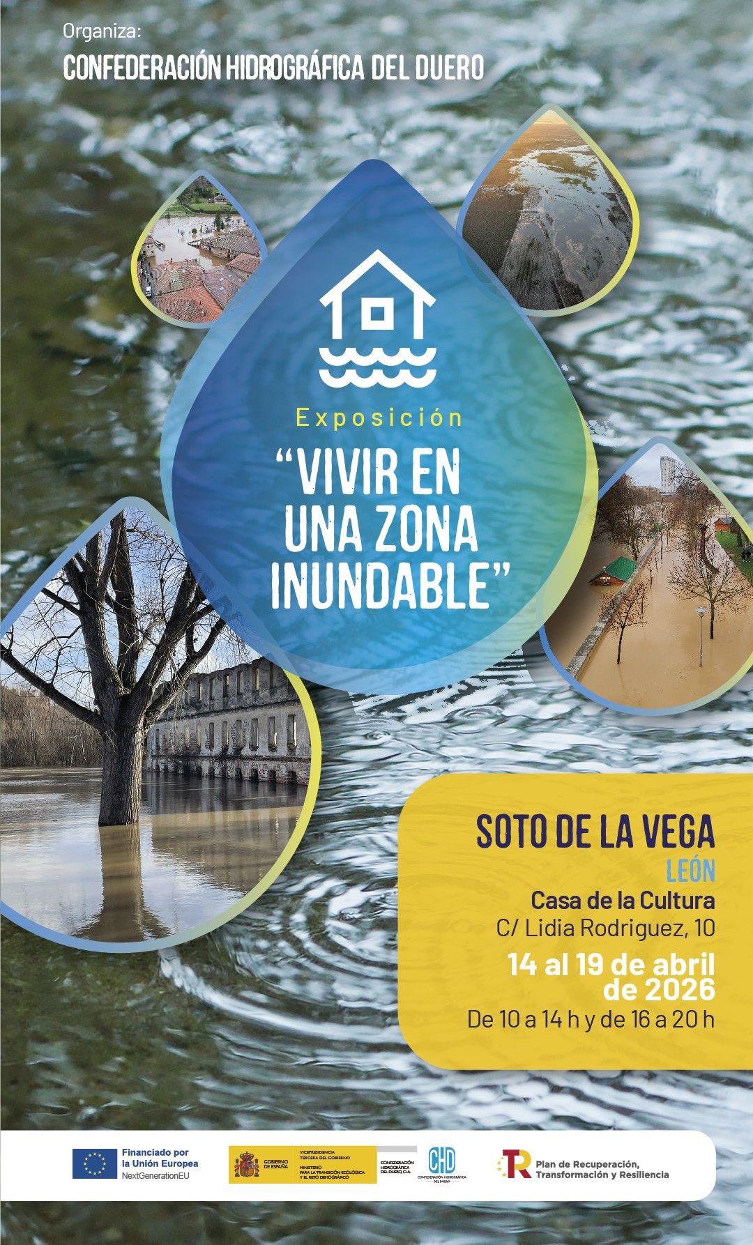 Cartel de la muestra.