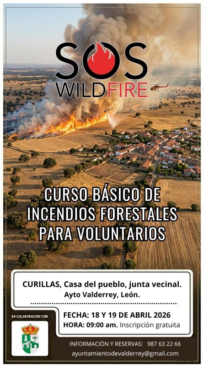 Cartel del curso. Cartel del curso.