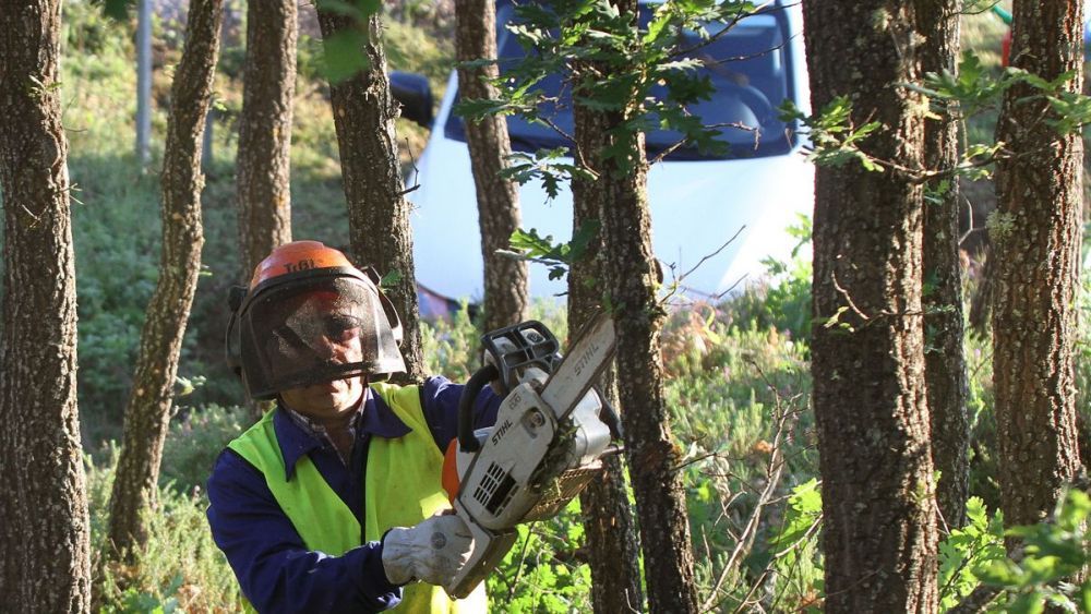 Trabajos de desbroces. | Ical