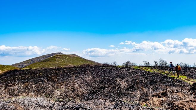 09 La zona que ardió este verano