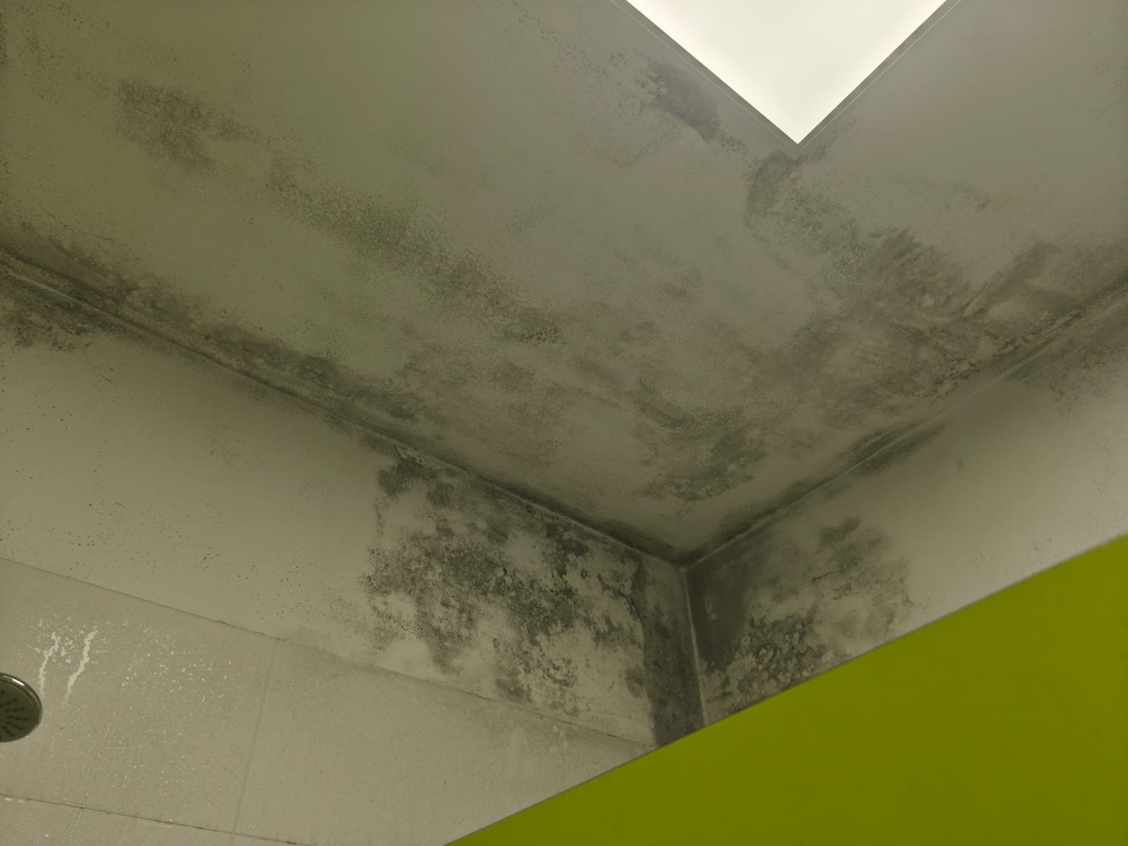 Humedades en el Hogar del Transeúnte