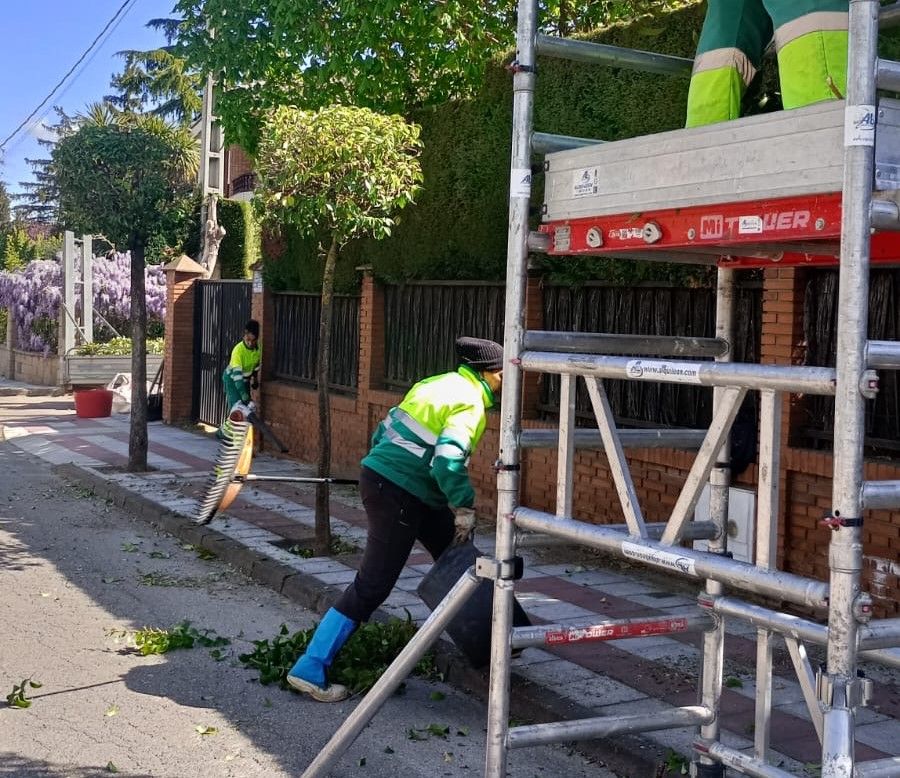 Campaña de poda en San Andrés del Rabanedo. | L.N.C.