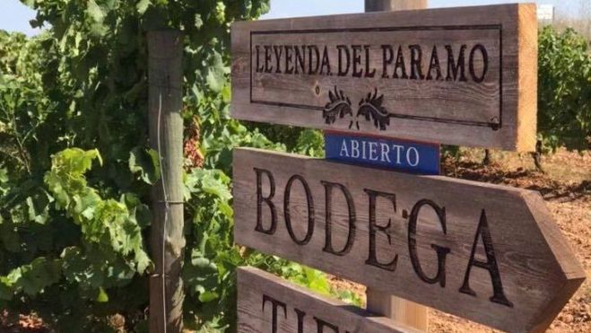 Apuesta por una bodega moderna, sostenible y reconocida. |LEYENDA DEL PÁRAMO