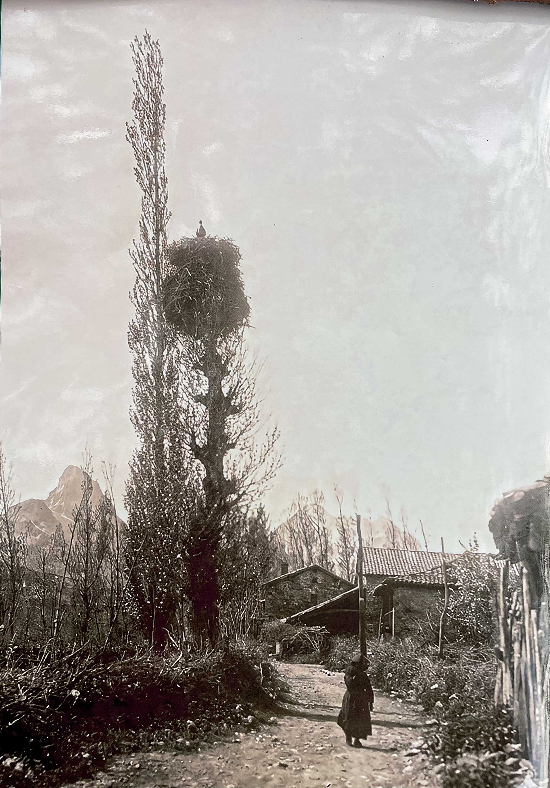 Trampantojo con trapo. | L.N.C.