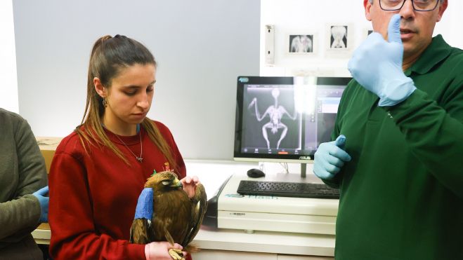 Profesionales del Centro de Recuperación de Animales Silvestres de Valladolid