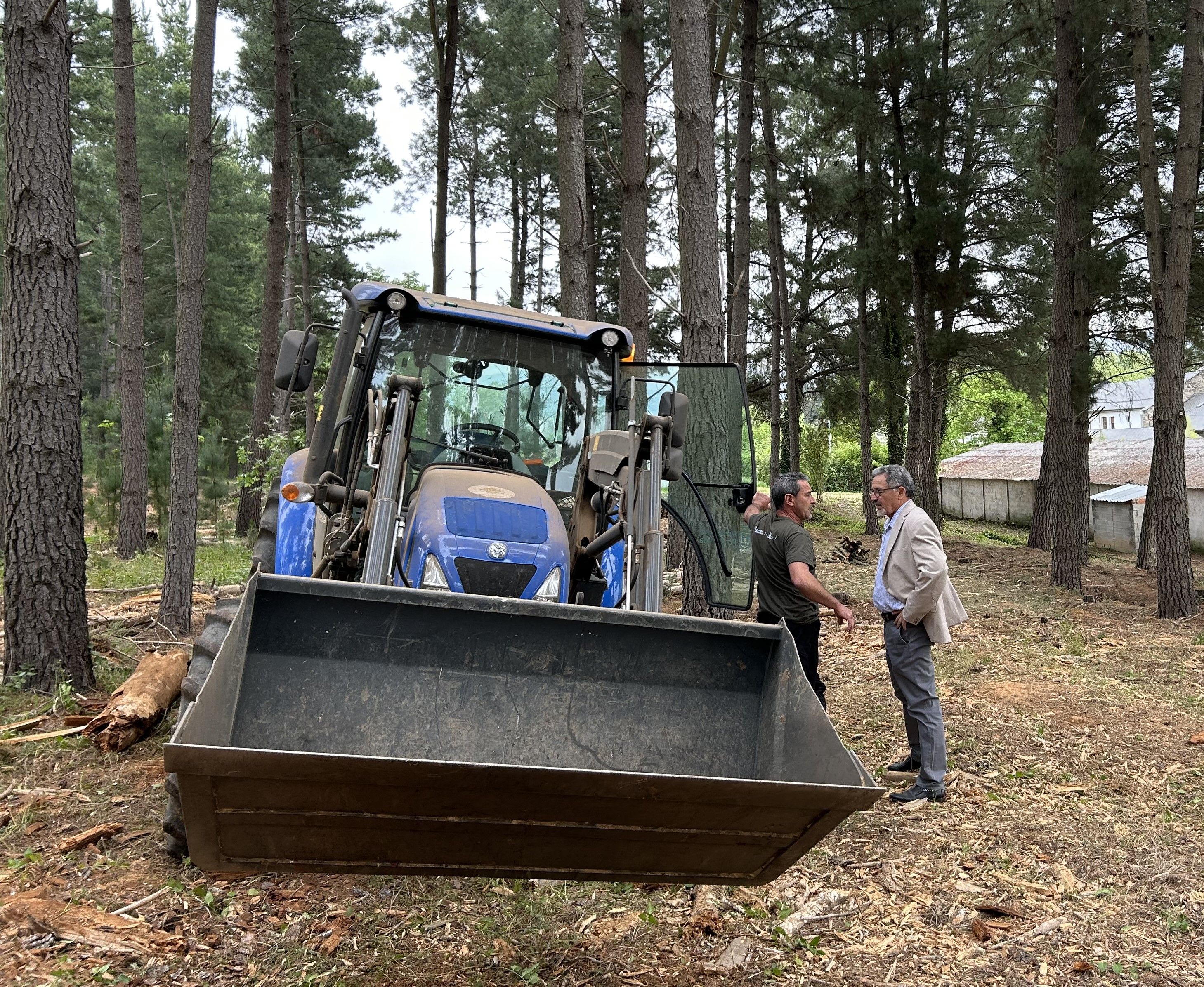 Trabajos en el pinar de Compostilla.