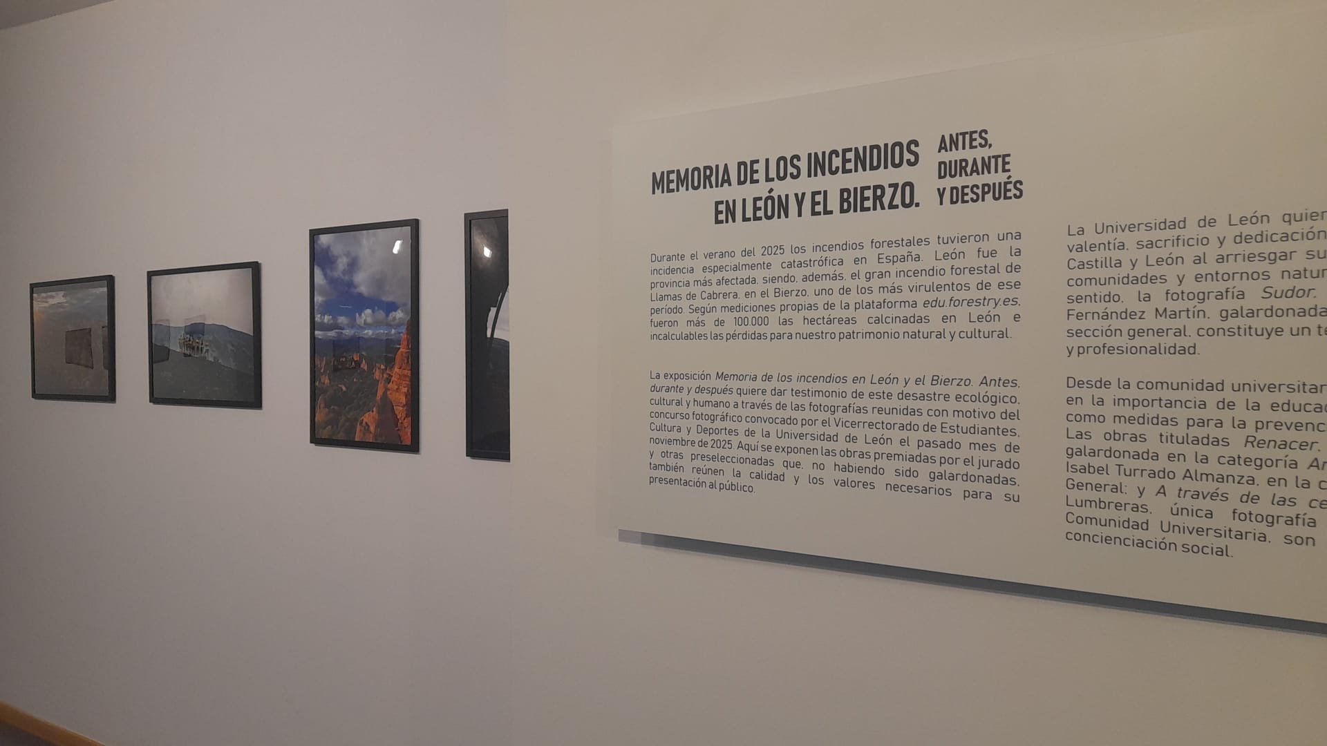 Imágenes de la muestra. | MAR IGLESIAS