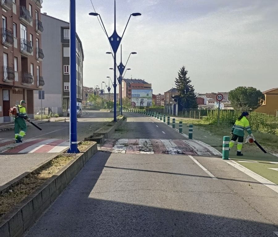 Foto de las labores de poda y desbroce que se han llevado a cabo en el puente de Azorín de San Andrés del Rabanedo. | L.N.C.