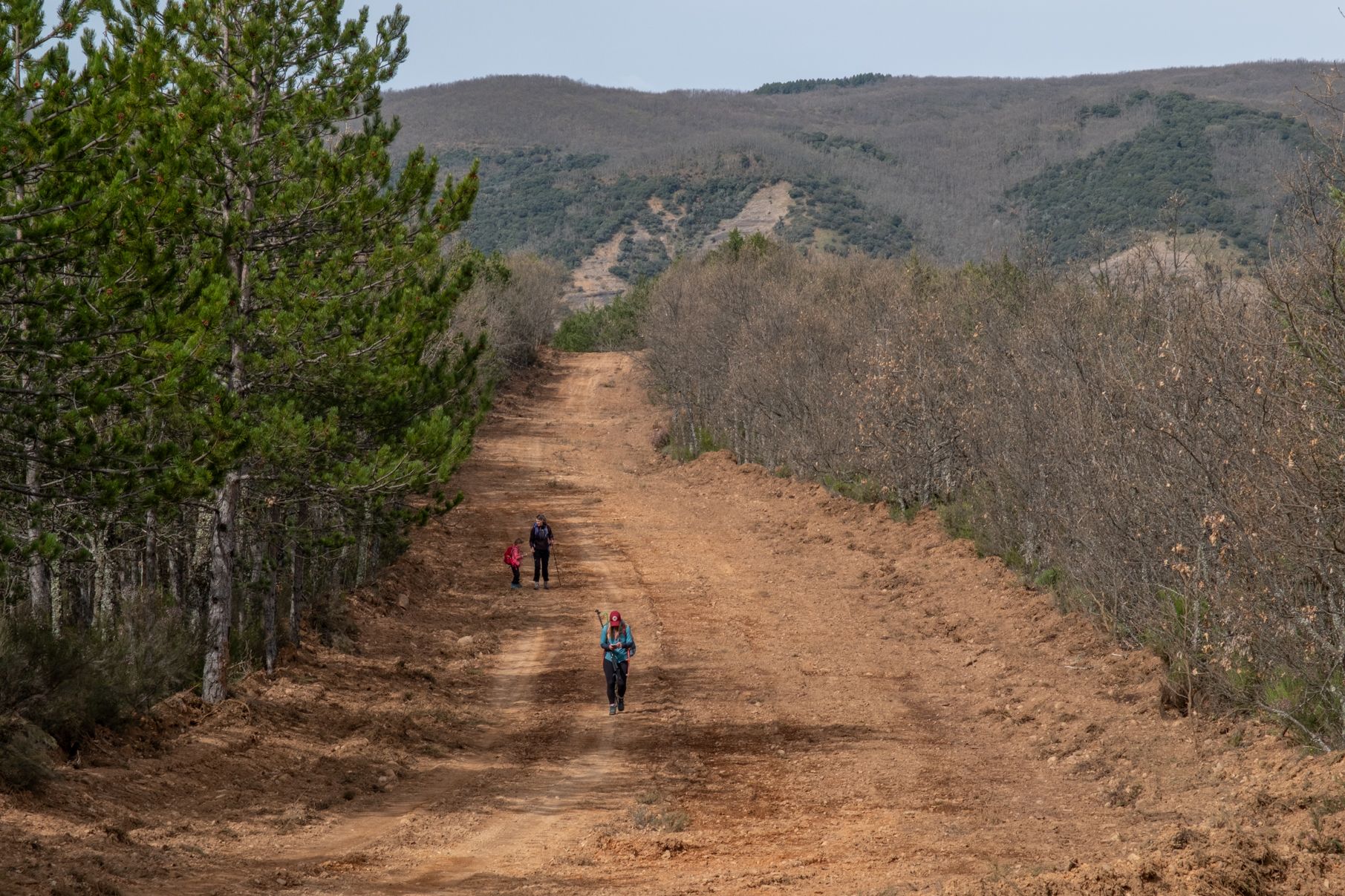 El cortafuegos hacia el alto. | VICENTE GARCÍA