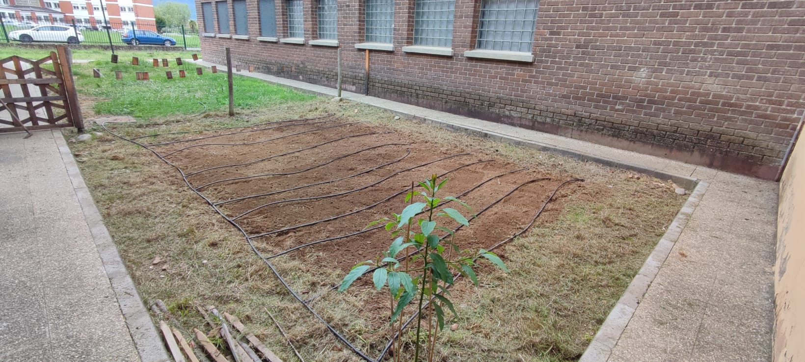 Huerto escolar en el colegio de La Cogolla.