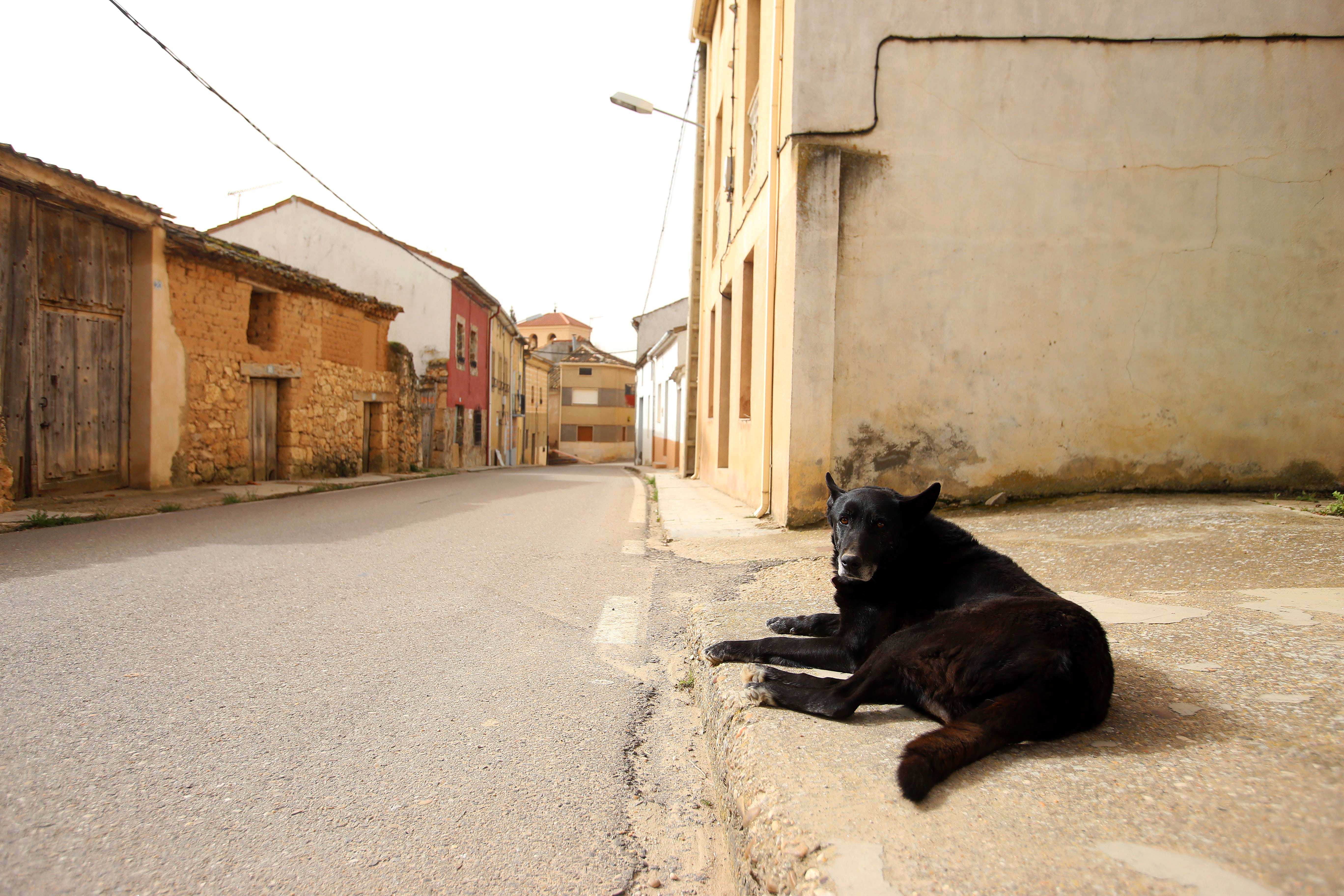 El Fondo de Cohesión Territorial contempla 20 millones en inversiones. | ICAL