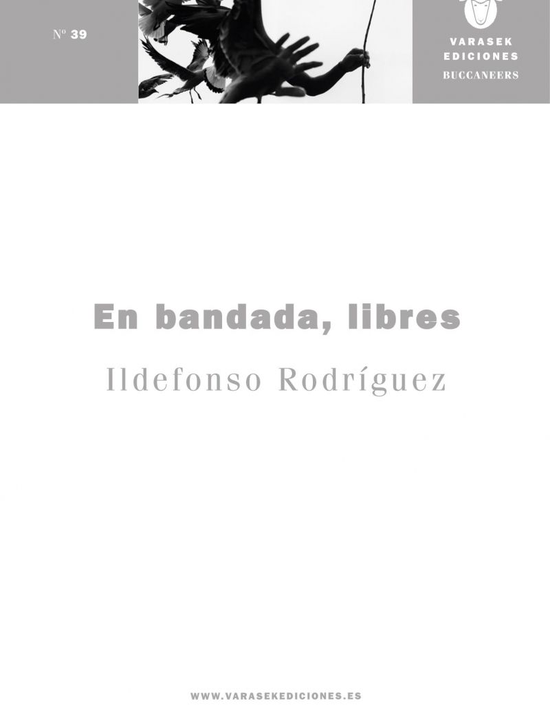 Portada de 'En bandada, libres'.