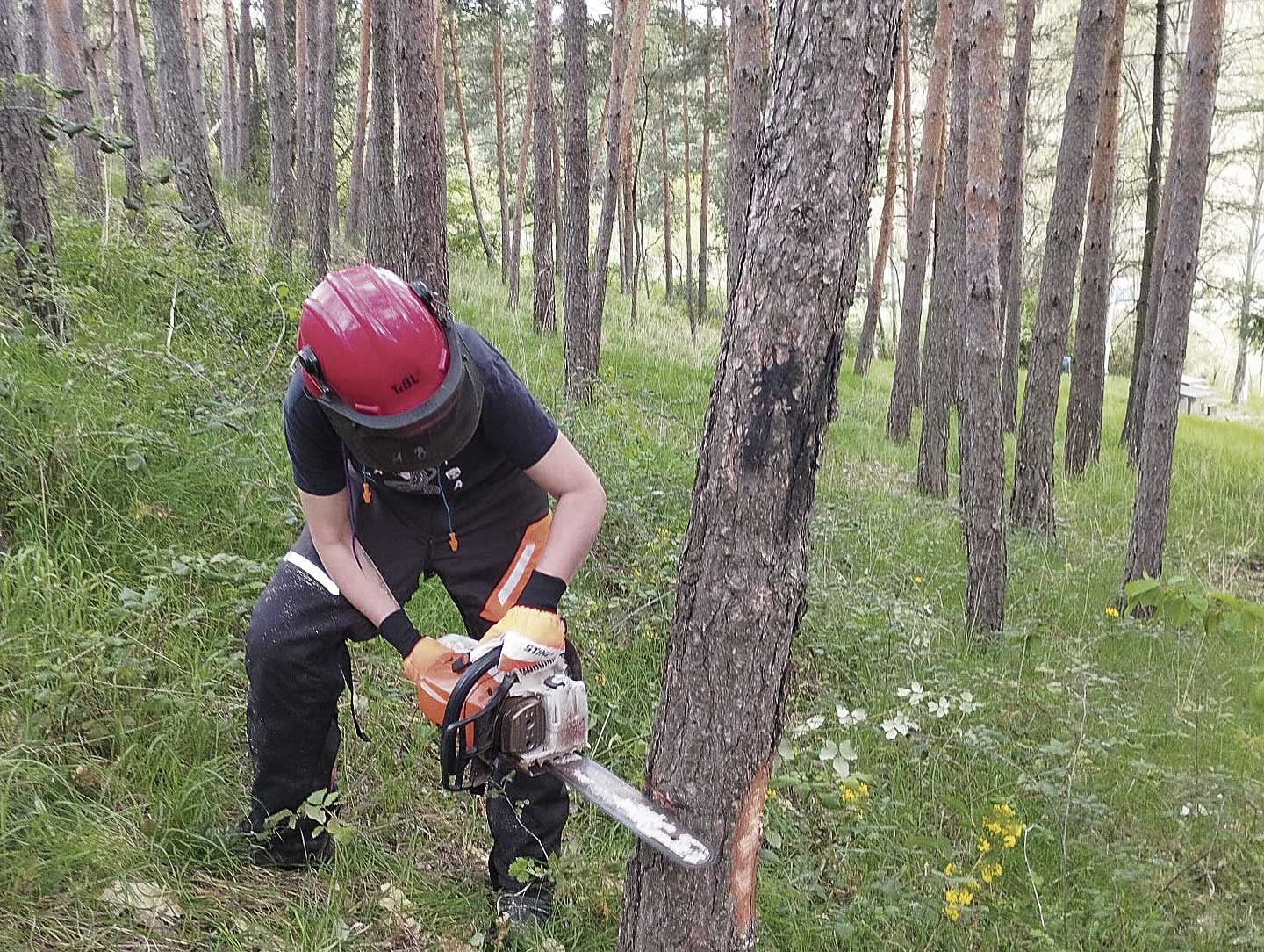 El alumnado ha recibido formación tanto teórica como práctica