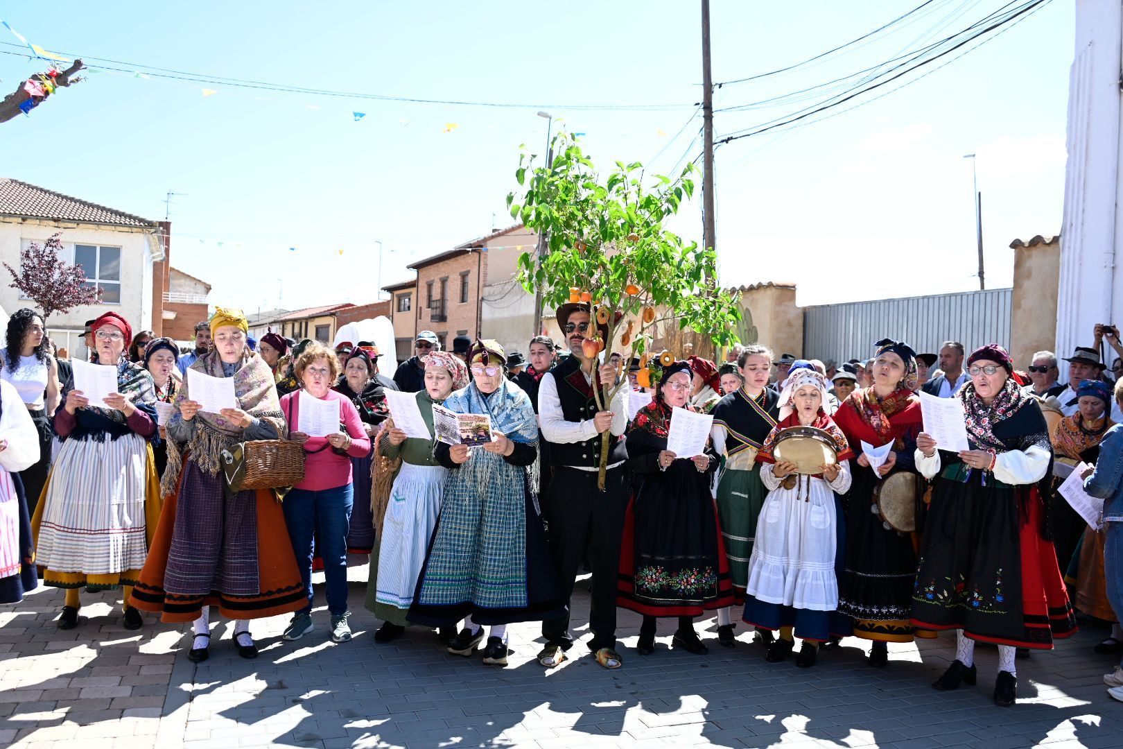 La boda antrueja de Celadilla, en imágenes 