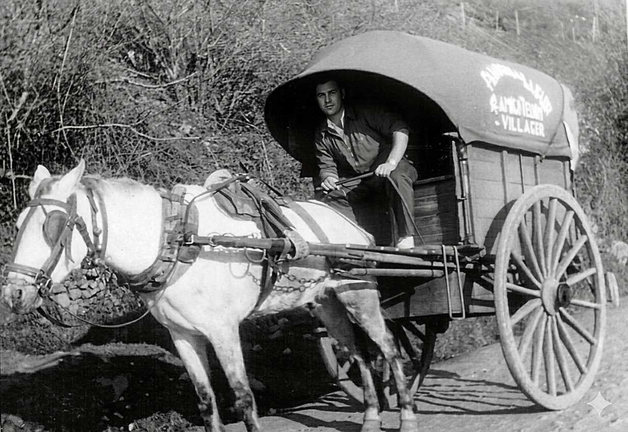 Imagen última villager la flor. | L.N.C.