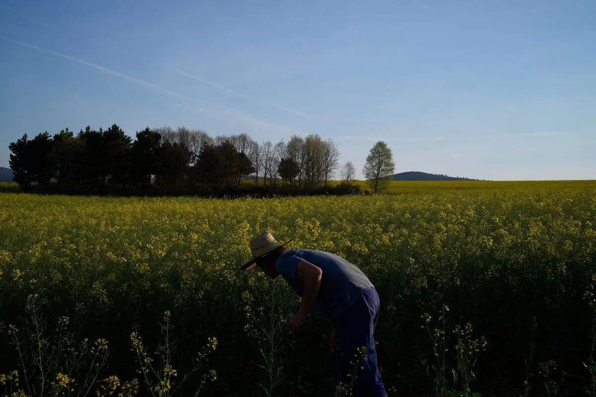 ‘Radio La Fontana’ es el nombre del proyecto. | CEDIDA POR RAFAEL MARÍNEZ DEL POZO