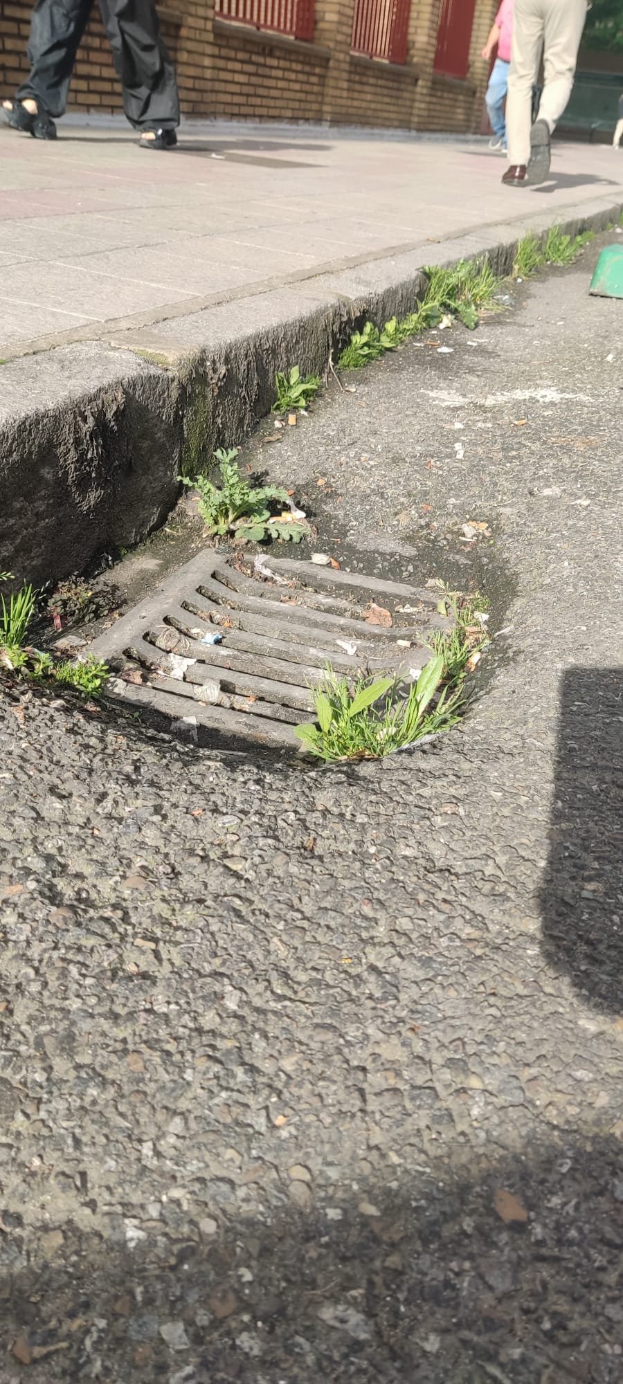 Uno de los sumideros denunciados por UPL en León.