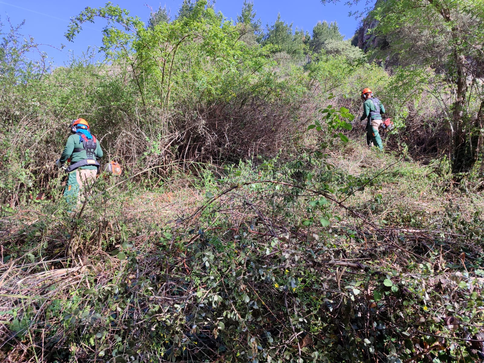 Trabajos de desbroces realizados en la pedanía.