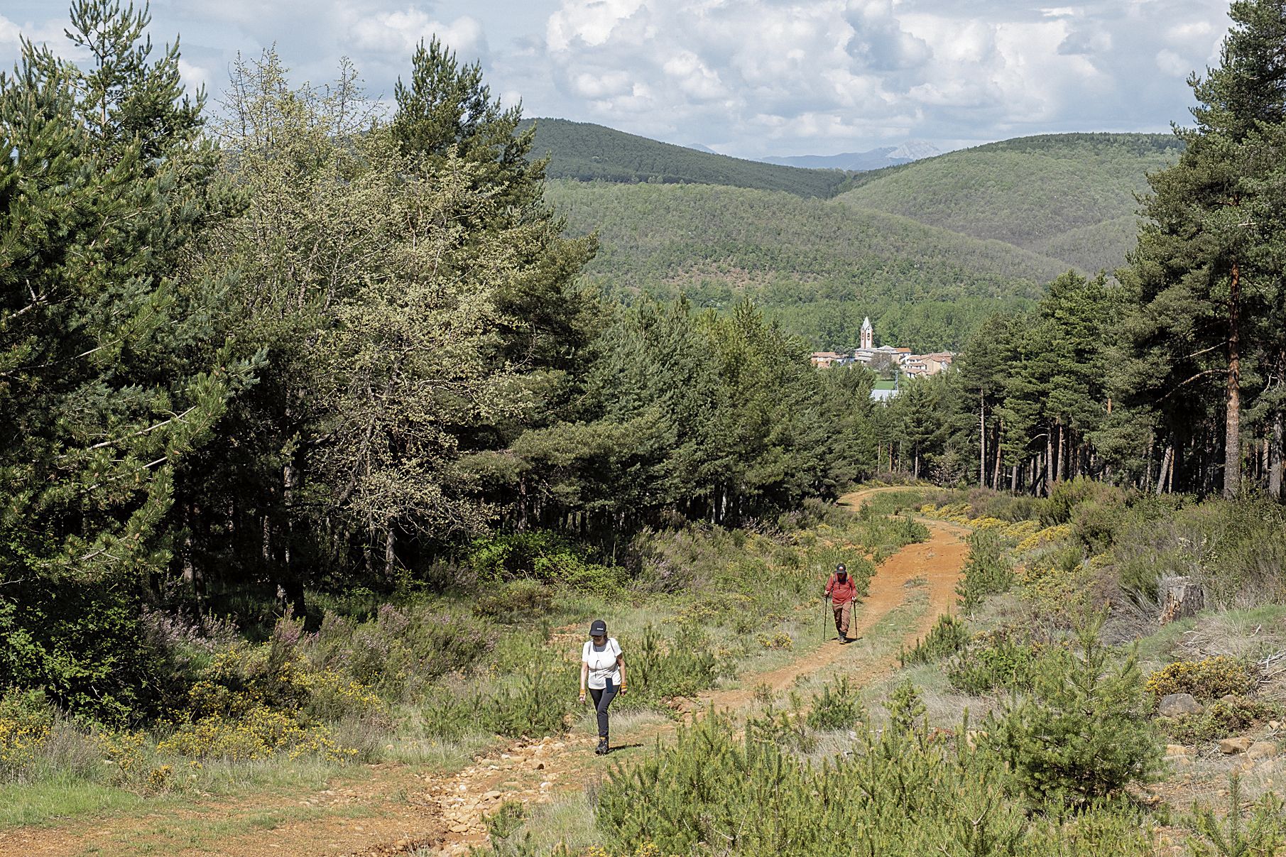 En la subida por el camino delAlto se ve al fondo Vidanes | VICENTE GARCÍA