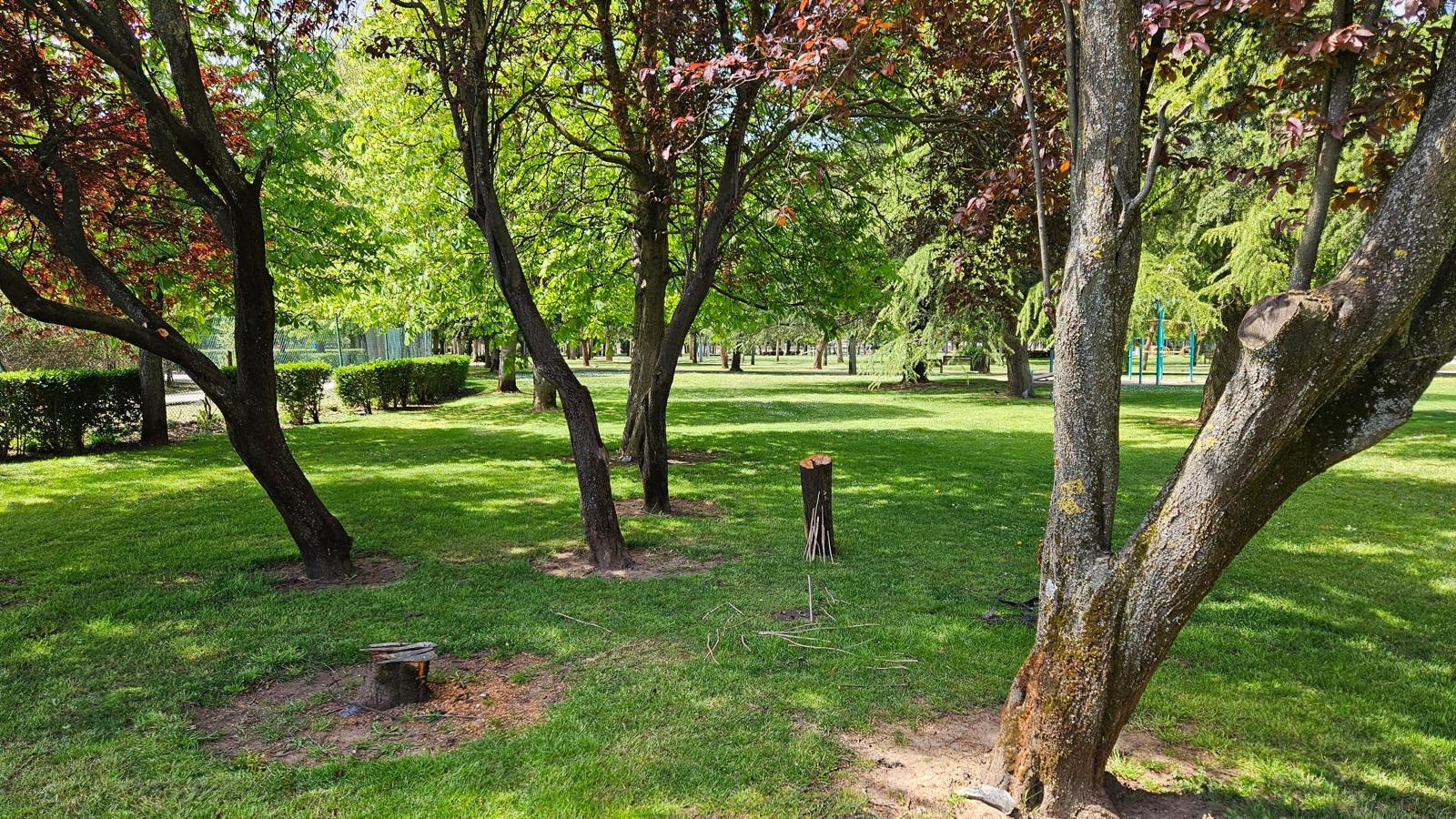 Tala de árboles que denuncia UPL en el parque de La Granja. | L.N.C.