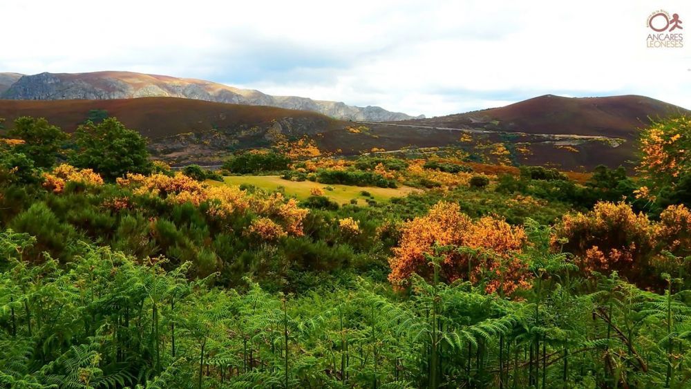 Reserva de la Biosefera de Los Ancares Leoneses. | ICAL