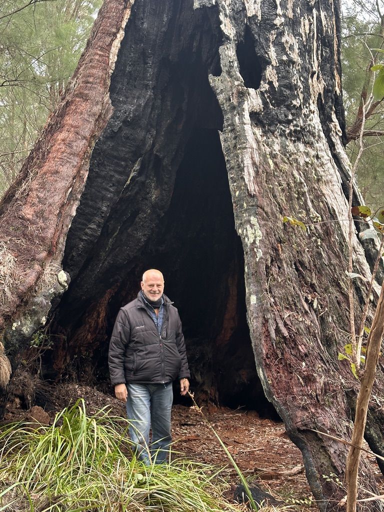 Valentín Carrera en el bosque de los gigantes. | L.N.C.