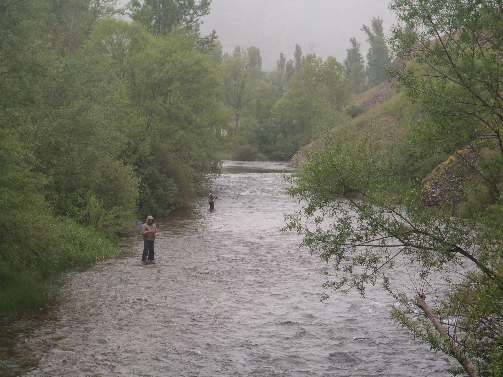 Pescando en el río Curueño bajo la lluvia. RPN