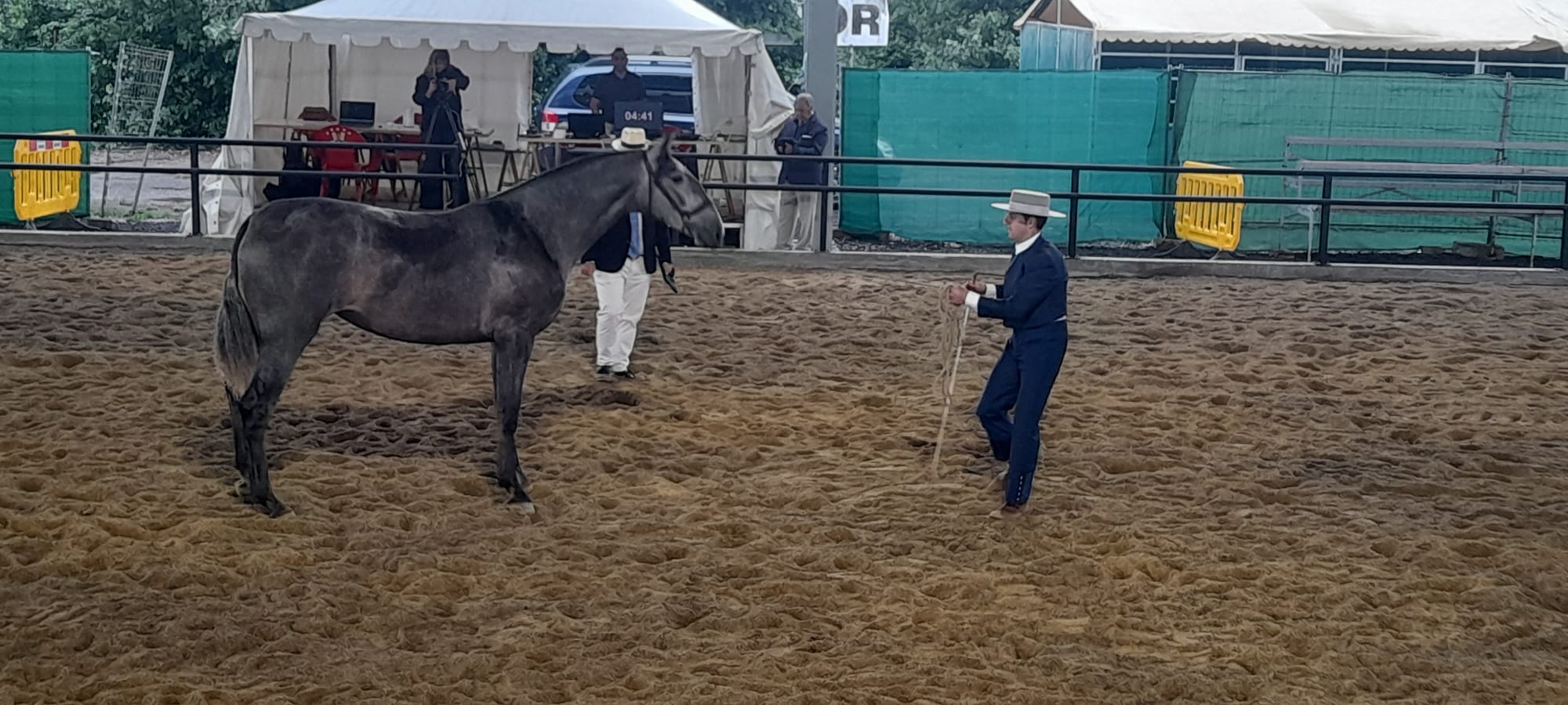 Inicio del concurso morfológico. | MAR IGLESIAS