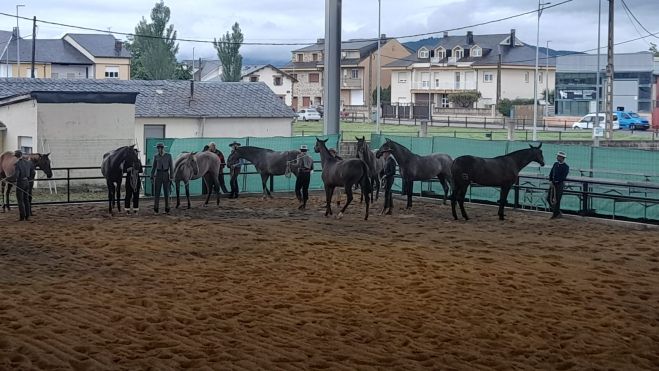 Feria de Caballos de este año en Camponaraya. | MAR IGLESIAS
