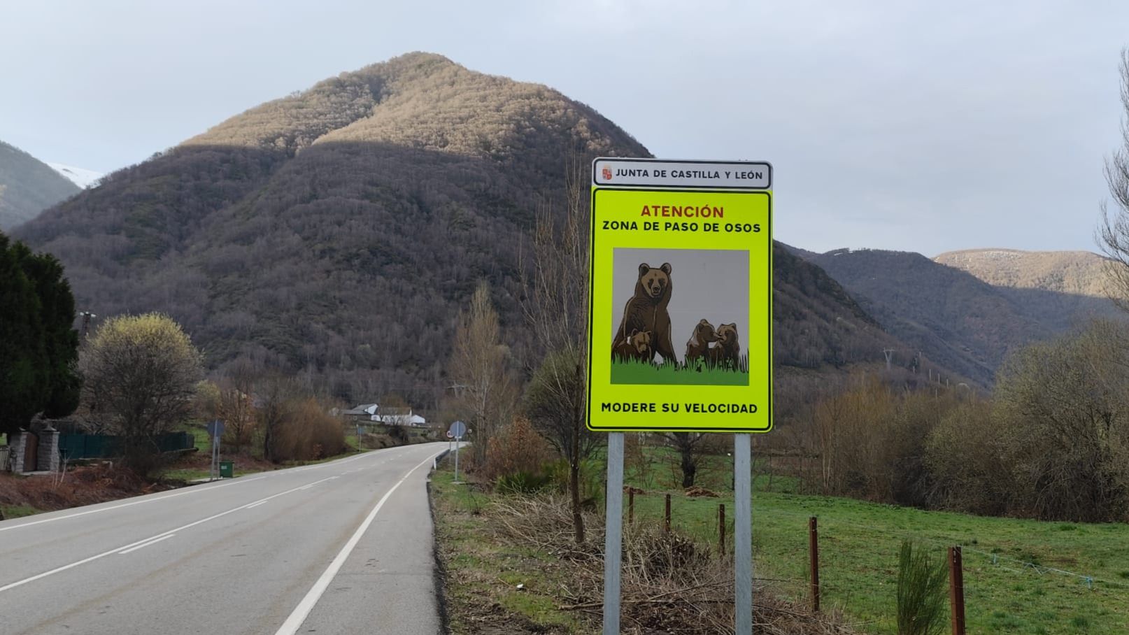  Señales de advertencia a los conductores para evitar atropellos de osos. | L.N.C.