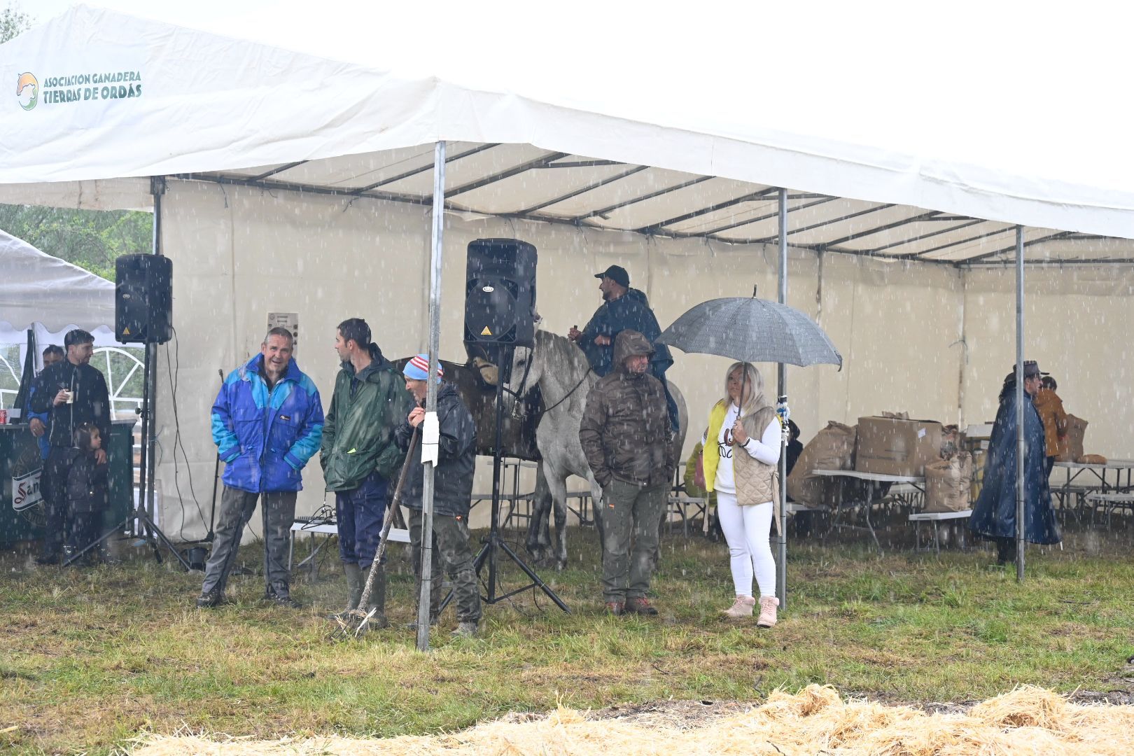 Feria ganadera de Santa María de Ordás 2026. 