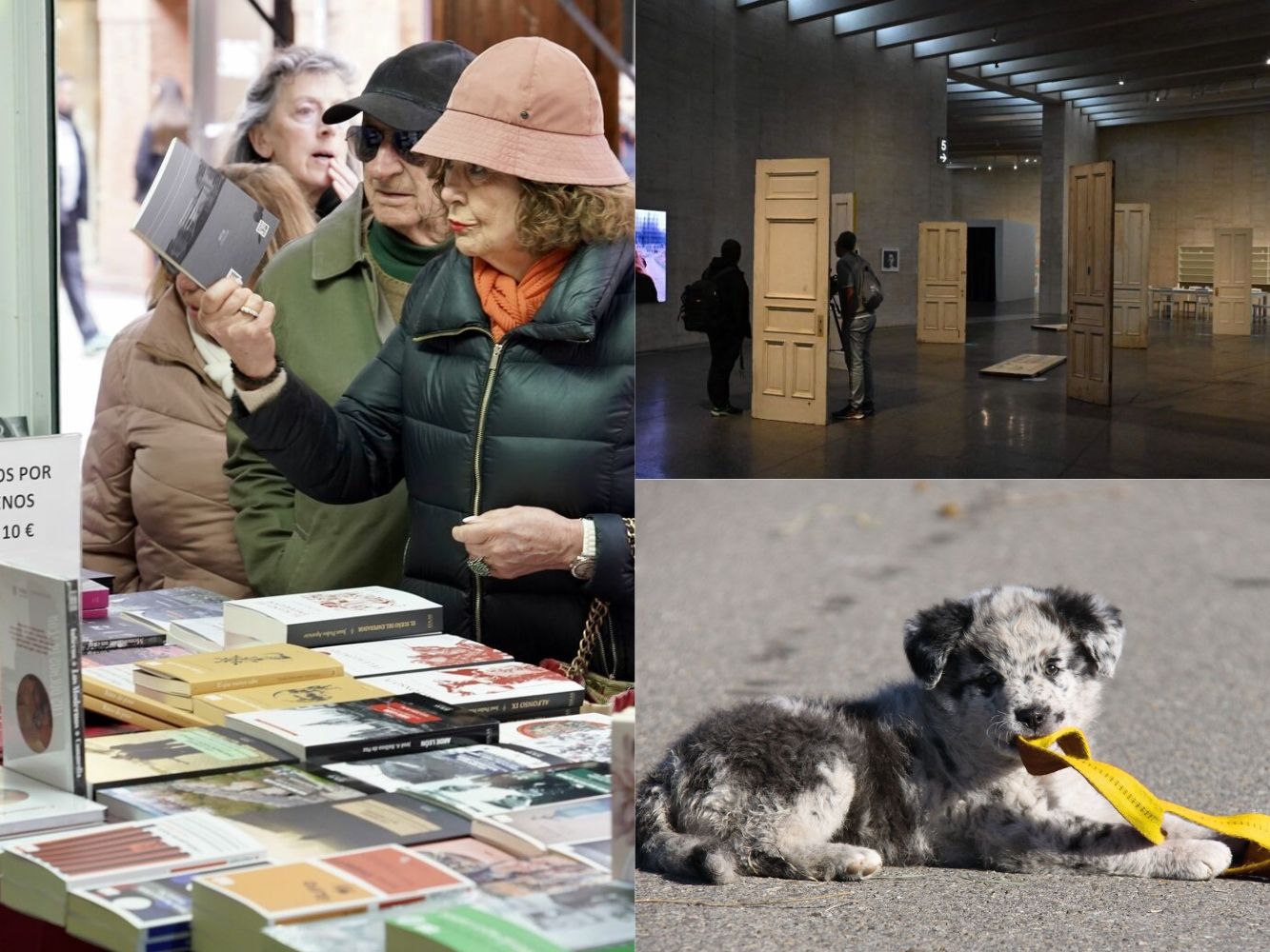 La Feria del Libro, la Feria del Carea y el Día de los Museos, este fin de semana en León