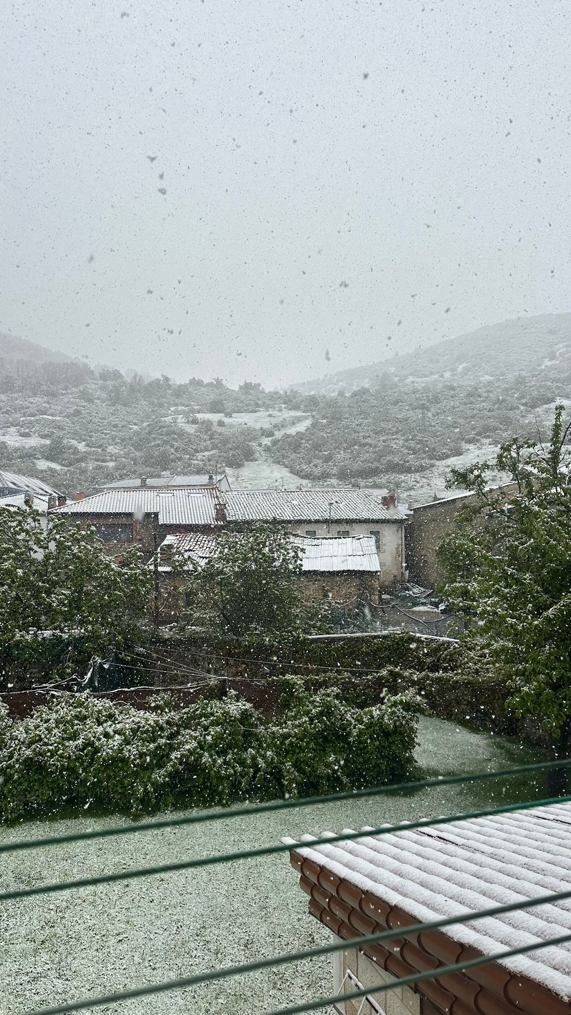 La nieve ha hecho acto de presencia en la localidad de Cofiñal, en Puebla de Lillo. | GIOVANNI CAMPOS