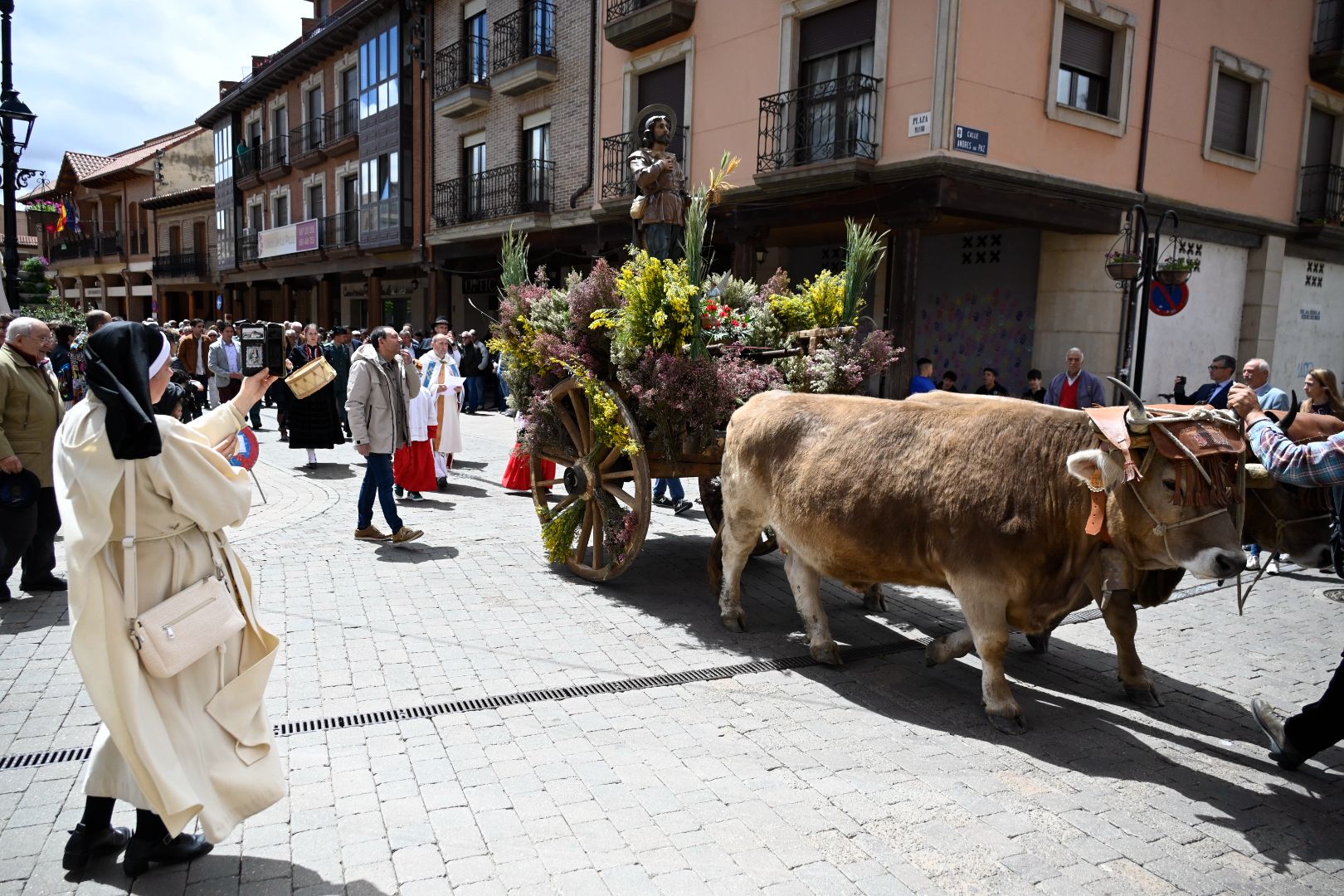 Fiesta de San Isidro en Santa María del Páramo (19)