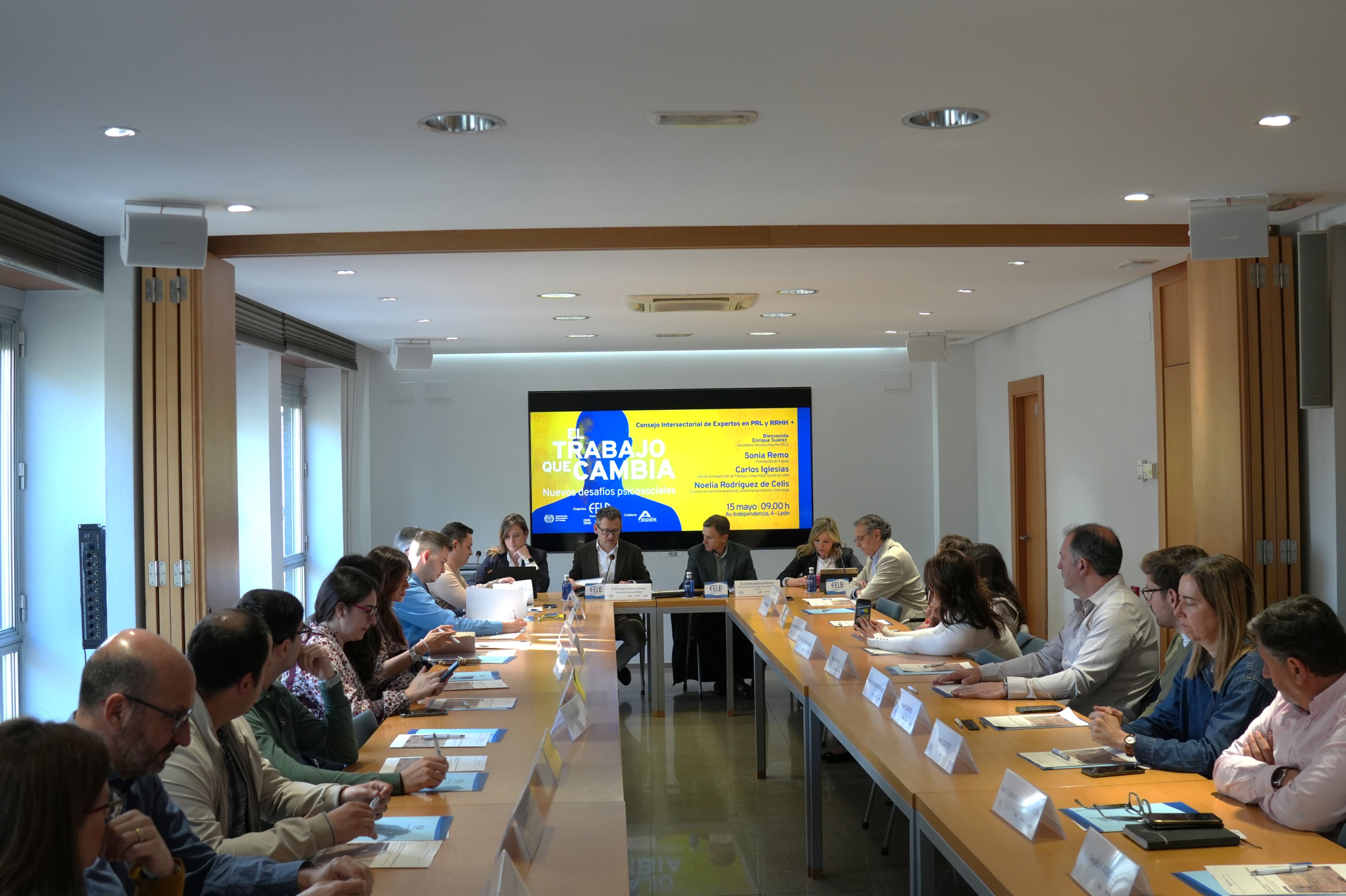 Un instante de la reunión celebrada ayer en las instalaciones de la Fele. | L.N.C.