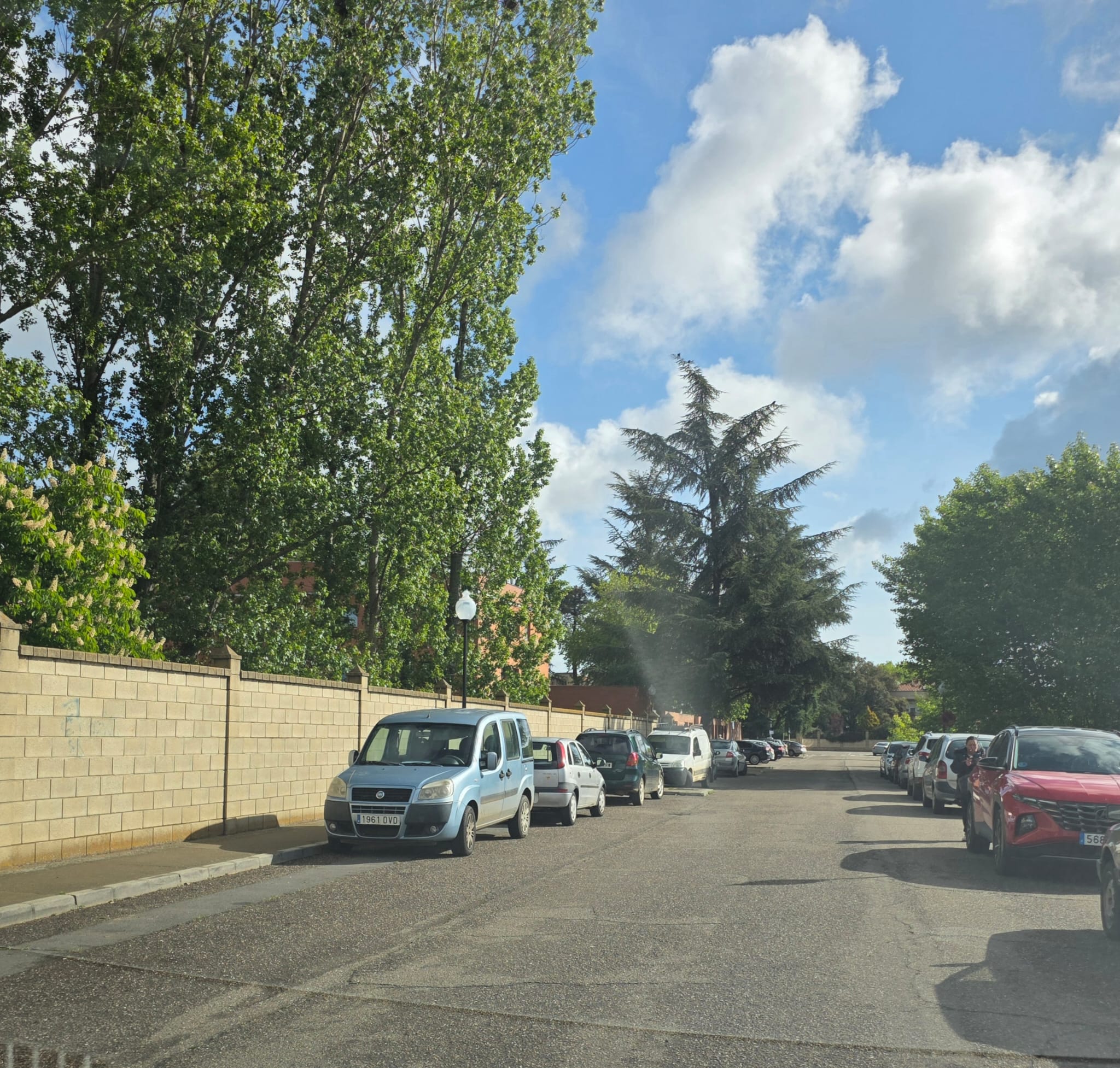Calle Doctor Fleming de La Bañeza en la que se mejorará el pavimento. | L.N.C.