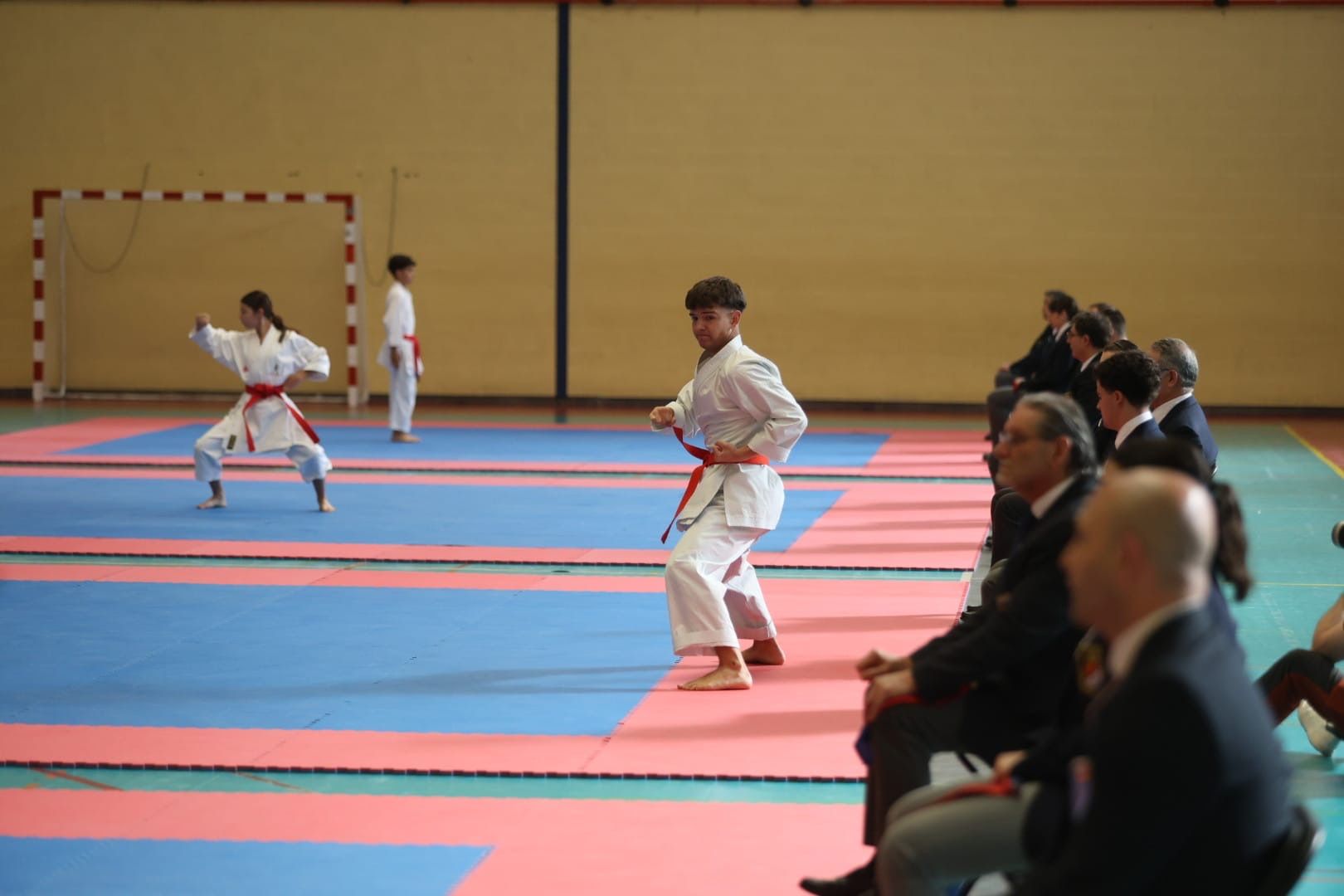 Provincial de kárate (3)
