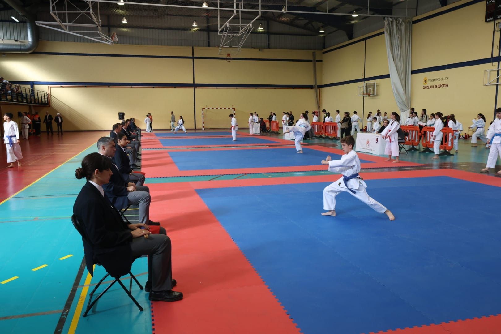 Provincial de kárate (4)